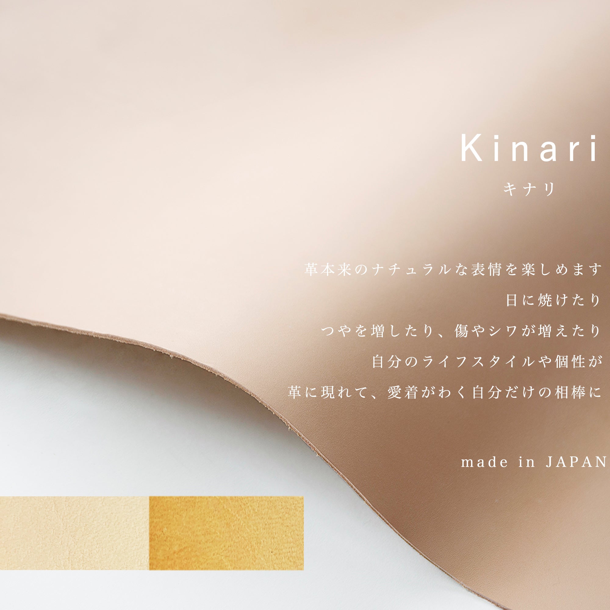「中身を入れても薄さをキープ!」オールインワンの小さく薄い財布POKET /LISCIO®(ポケト / リスシオ)