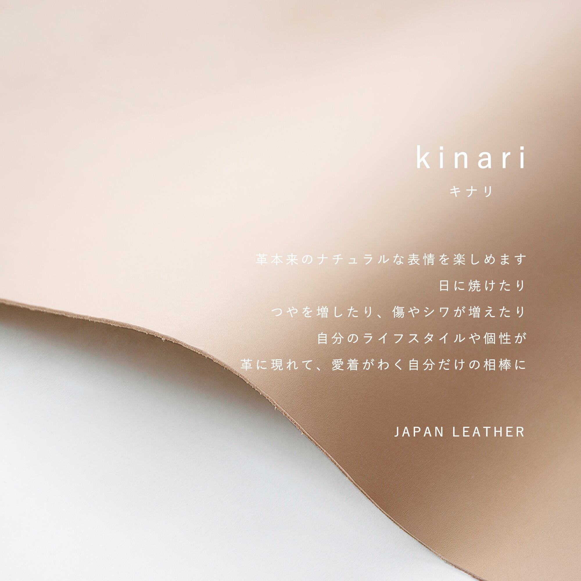 小さくても驚きの使い勝手と収納力!便利な見開きタテ持ち micro wallet / kinari(マイクロウォレット / キナリ)